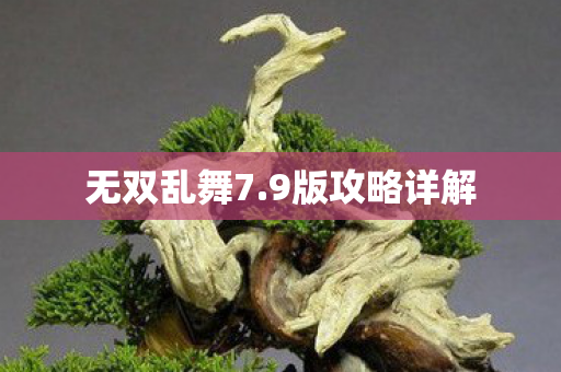 9版攻略详解图片
