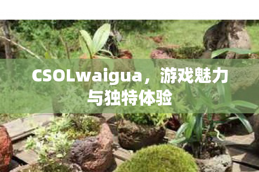 CSOLwaigua图片