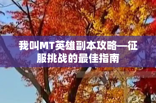 我叫MT英雄副本攻略图片