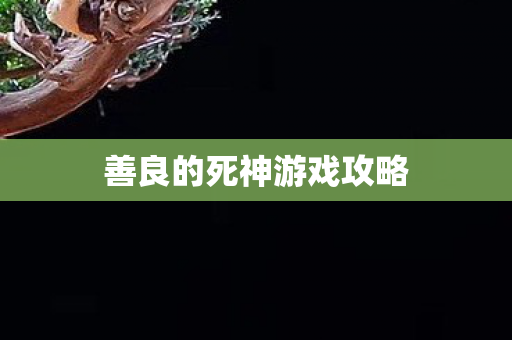 善良的死神游戏攻略图片