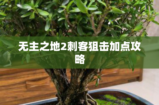 无主之地2刺客狙击加点攻略图片