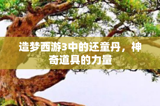 造梦西游3中的还童丹图片