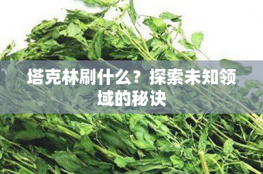 探索未知领域的秘诀图片