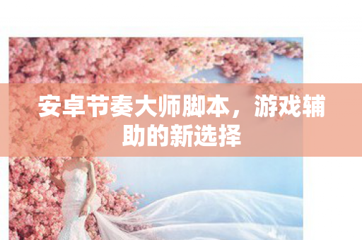 安卓节奏大师脚本图片
