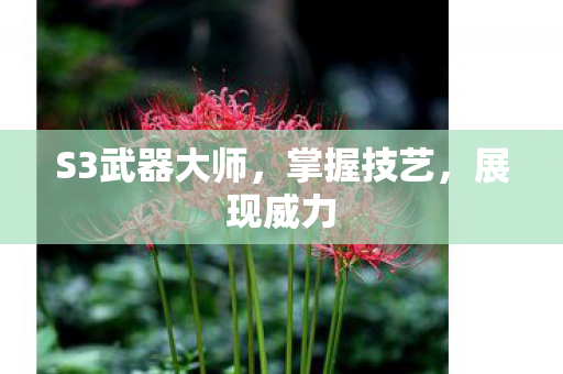 S3武器大师图片
