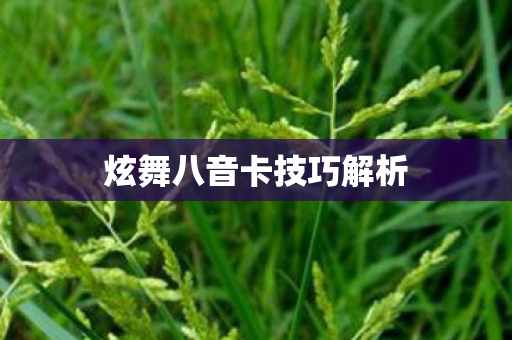 炫舞八音卡技巧解析图片