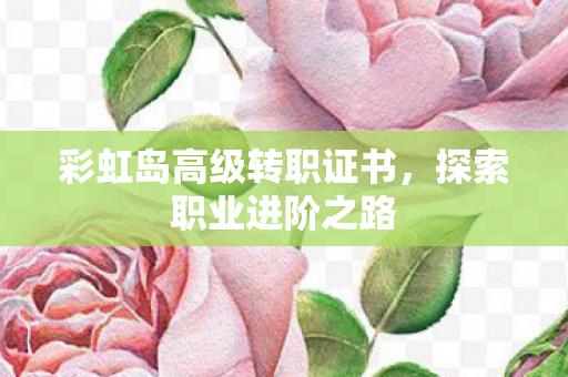 彩虹岛高级转职证书图片