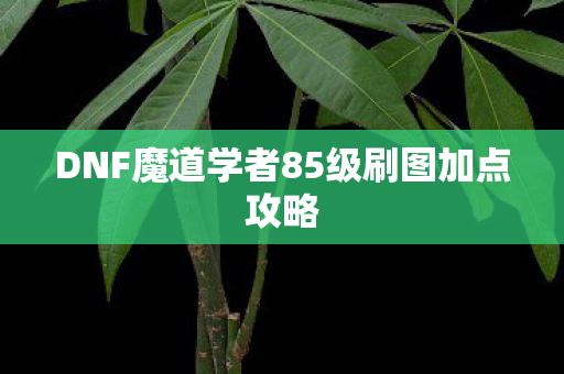 DNF魔道学者85级刷图加点攻略 DNF魔道学者85级刷图加点攻略