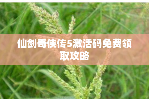 仙剑奇侠传5激活码免费领取攻略图片