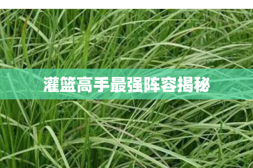 灌篮高手最强阵容揭秘图片