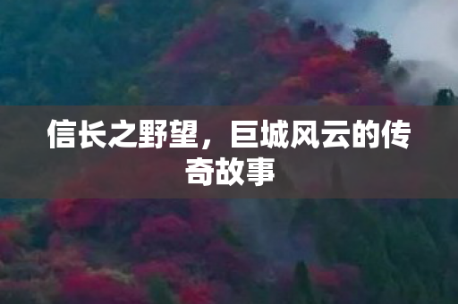 巨城风云的传奇故事图片