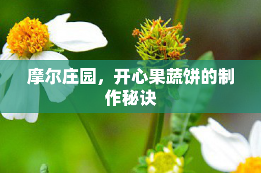 开心果蔬饼的制作秘诀图片
