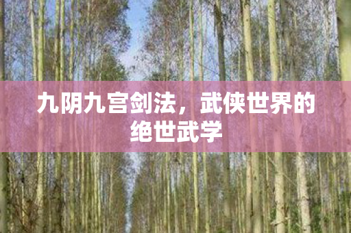 武侠世界的绝世武学图片
