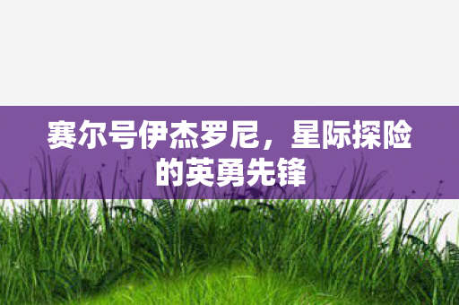 星际探险的英勇先锋图片