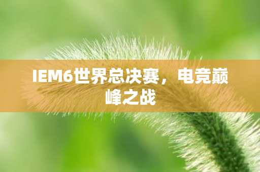 IEM6世界总决赛图片