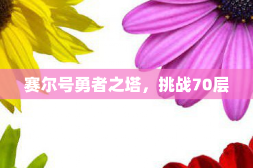 赛尔号勇者之塔图片