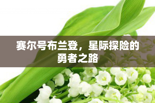星际探险的勇者之路图片