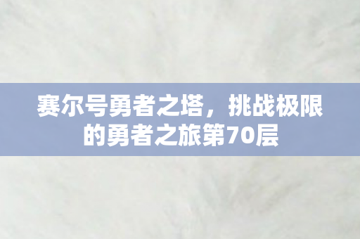 挑战极限的勇者之旅第70层图片