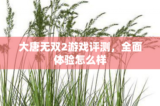 大唐无双2游戏评测图片