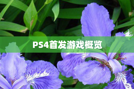 PS4首发游戏概览图片