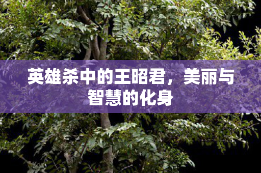 英雄杀中的王昭君图片