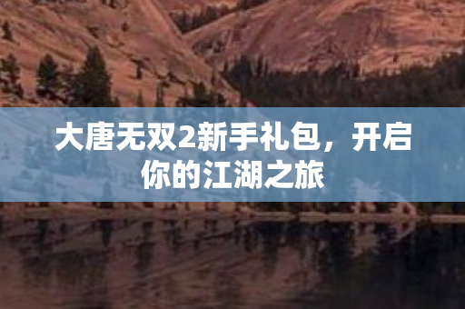 大唐无双2新手礼包图片