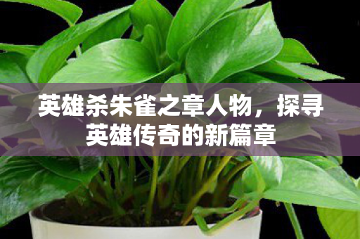 探寻英雄传奇的新篇章图片