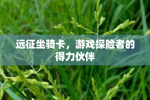 游戏探险者的得力伙伴图片