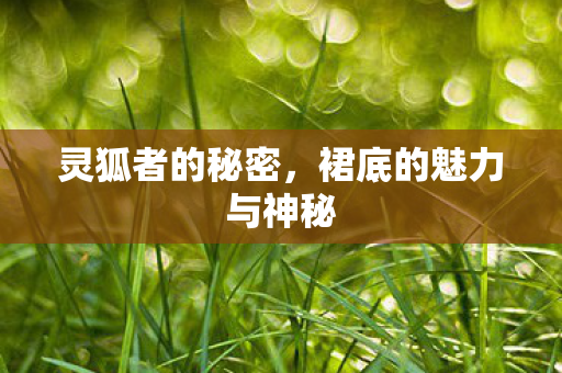 裙底的魅力与神秘图片