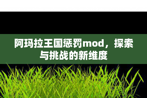 阿玛拉王国惩罚mod图片