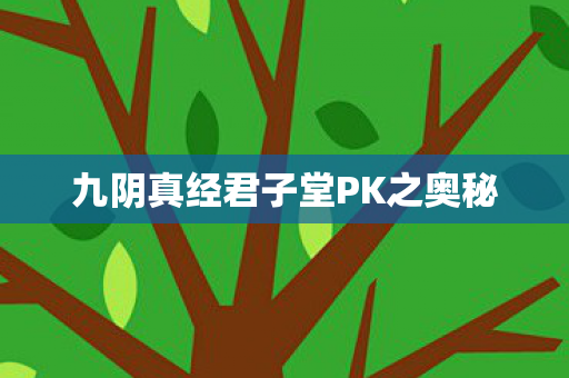 九阴真经君子堂PK之奥秘图片