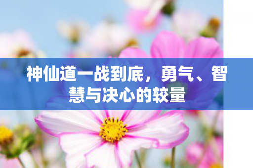智慧与决心的较量图片