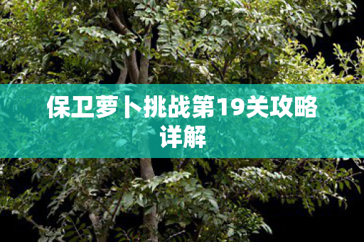 保卫萝卜挑战第19关攻略详解图片