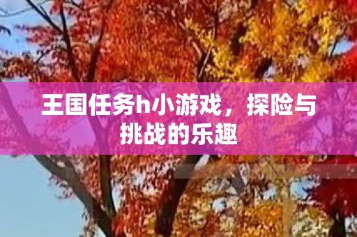 王国任务h小游戏图片