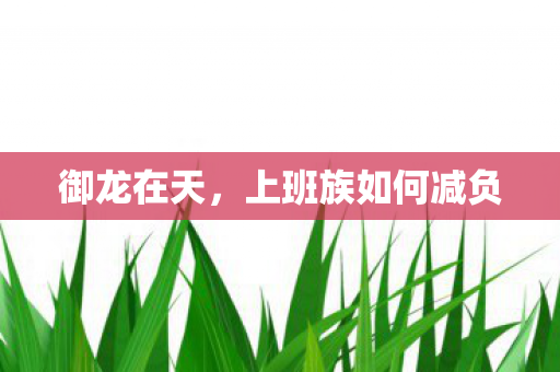 御龙在天,上班族如何减负 御龙在天,上班族如何减负