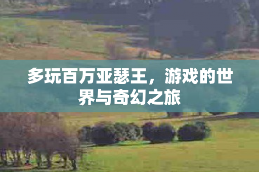 游戏的世界与奇幻之旅图片