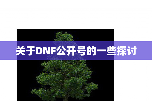 关于DNF公开号的一些探讨图片