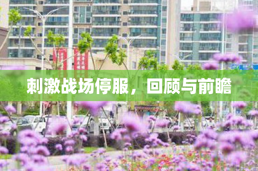 刺激战场停服图片
