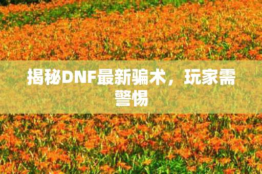 揭秘DNF最新骗术图片