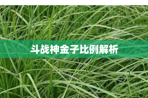 斗战神金子比例解析图片