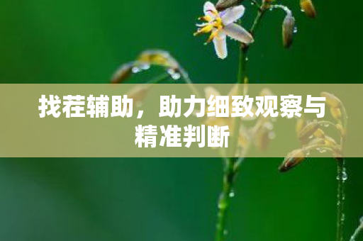 助力细致观察与精准判断图片