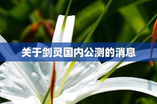 关于剑灵国内公测的消息图片