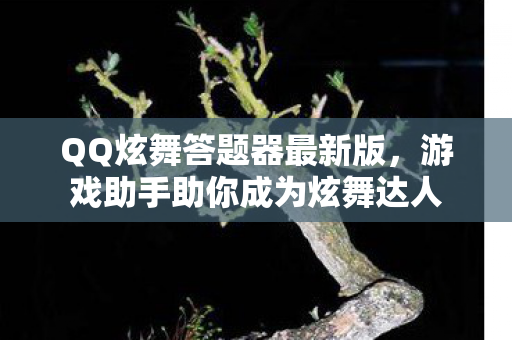 游戏助手助你成为炫舞达人图片