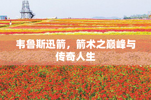 箭术之巅峰与传奇人生图片