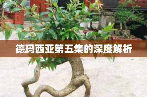 德玛西亚第五集的深度解析图片