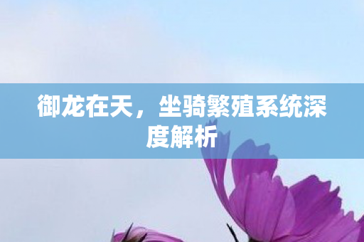 坐骑繁殖系统深度解析图片