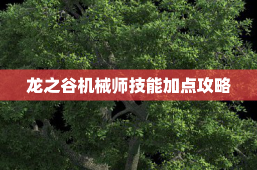龙之谷机械师技能加点攻略图片