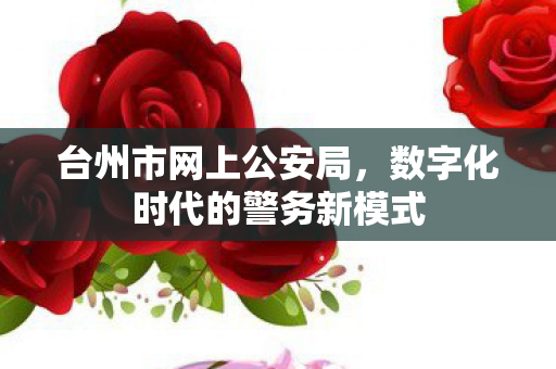 数字化时代的警务新模式图片