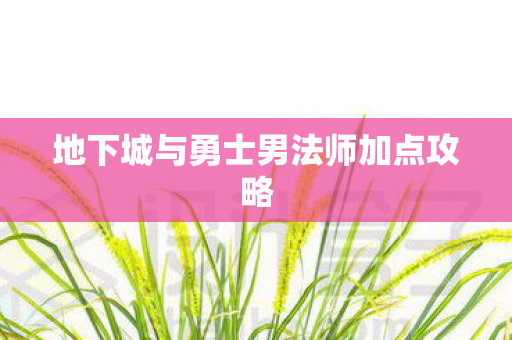 地下城与勇士男法师加点攻略图片