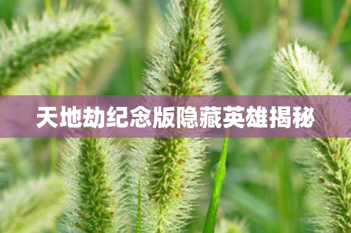 天地劫纪念版隐藏英雄揭秘图片
